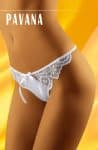 pavana_1.jpg