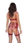roza_mehendi_claret_thong_suspbelt_closeup.jpg