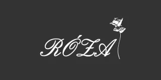 Roza Lingerie Brand