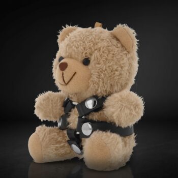 Yogi - Keeper of Secrets | The RebelRoo Society