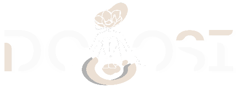 Dooosy Lingerie