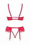 bn6696_rose_set_red_8.jpg
