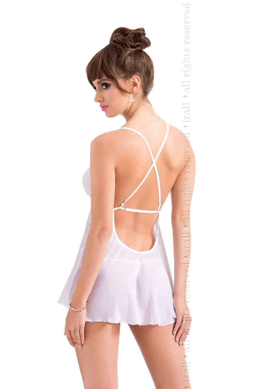 cassidywhtbg_back.jpg