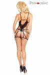 Transparence_Chemise_1.jpg