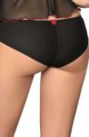 rubii_brief_back_web6.jpg